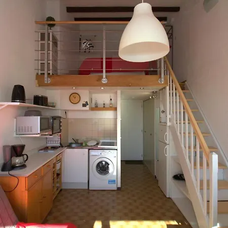 Apartment T1 Mezzanine Avec Balcon, Clim, Wifi Et Garage - Fr-1-553-195 *