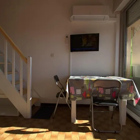 Apartment T1 Mezzanine Avec Balcon, Clim, Wifi Et Garage - Fr-1-553-195