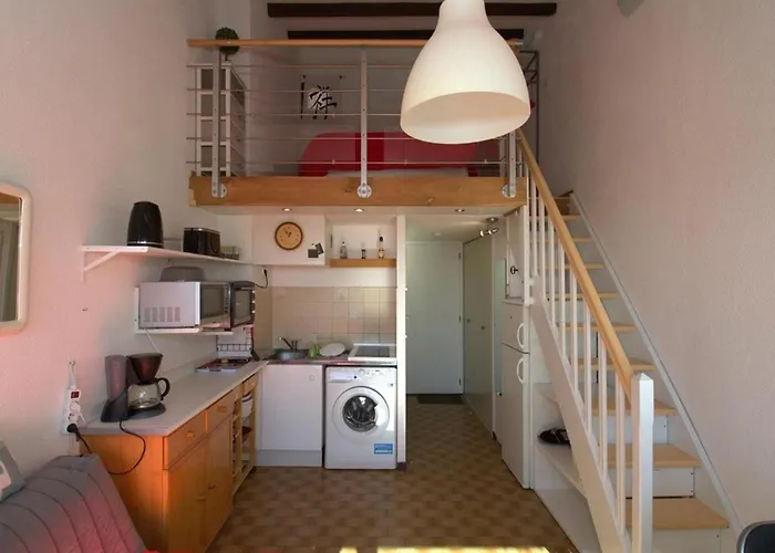Lejlighed T1 Mezzanine Avec Balcon, Clim, Wifi Et Garage - Fr-1-553-195 *